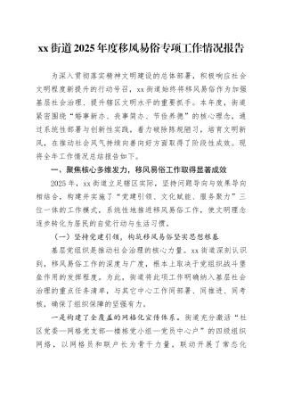 街道2025年度移风易俗专项工作情况报告