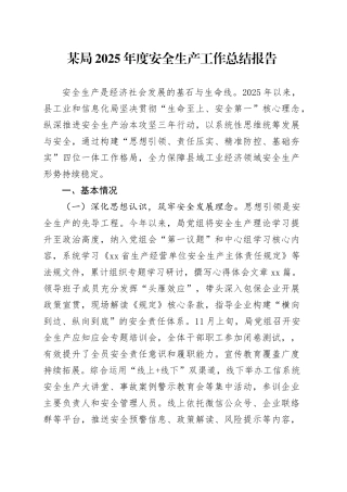 某局2025年度安全生产工作总结报告