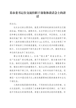某市委书记在交流挂职干部集体谈话会上的讲话