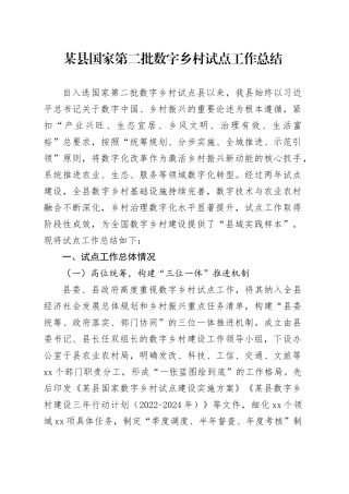 某县国家第二批数字乡村试点工作总结