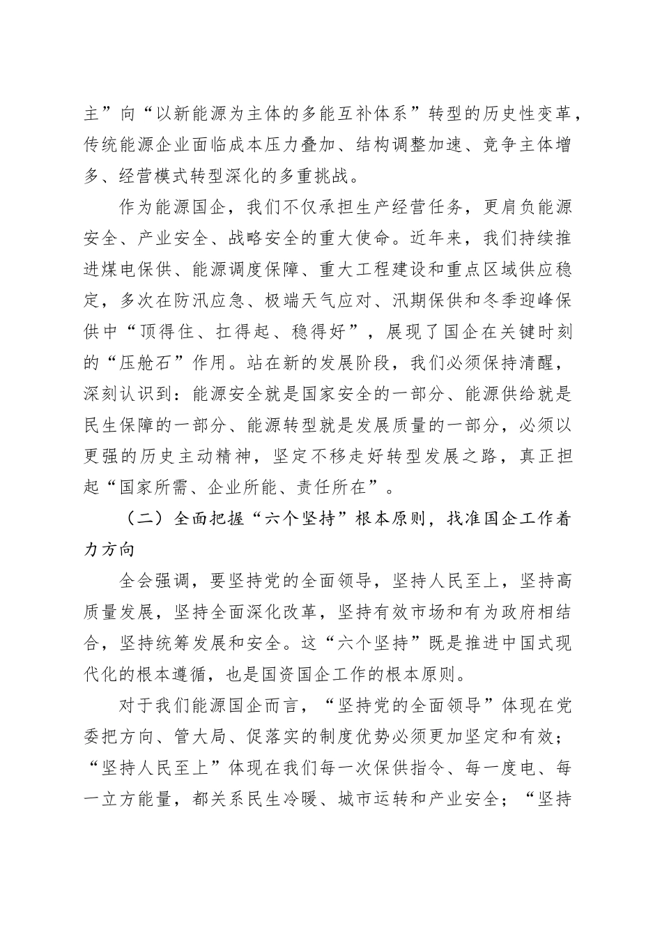 能国企党委书记学习党的二十届四中全会精神研讨发言心得体会20251128_第2页