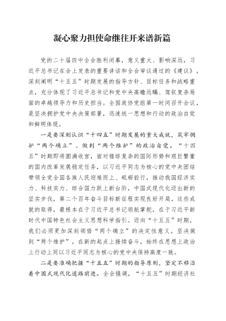 凝心聚力担使命继往开来谱新篇