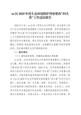 区2025年度生态环境保护督察整改_回头看_工作总结报告