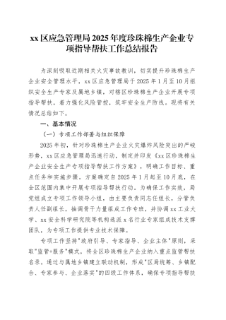 区应急管理局2025年度珍珠棉生产企业专项指导帮扶工作总结报告