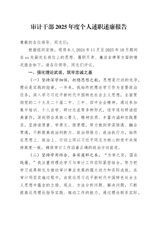 审计干部2025年度个人述职述廉报告