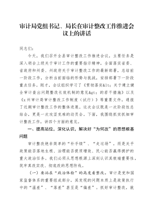 审计局党组书记、局长在审计整改工作推进会议上的讲话