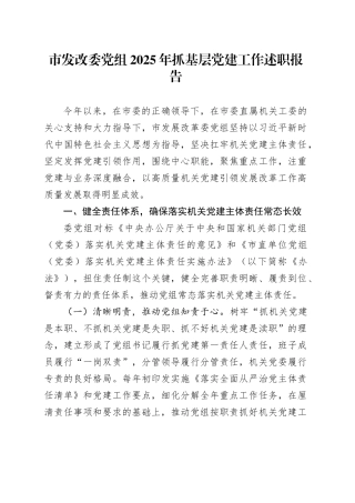 市发改委党组2025年抓基层党建工作述职报告