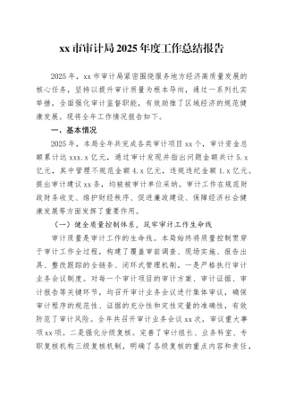 市审计局2025年度工作总结报告