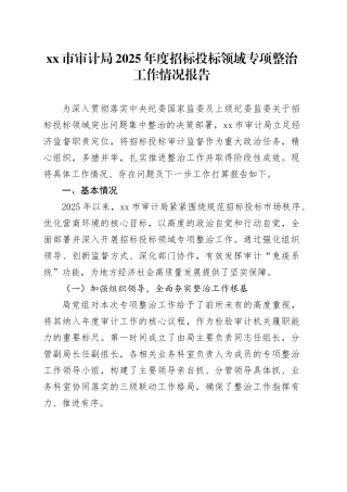 市审计局2025年度招标投标领域专项整治工作情况报告
