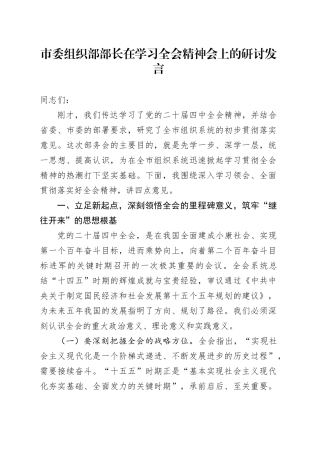 市委组织部部长在学习贯彻党的二十届四中全会精神会上的研讨发言20251126