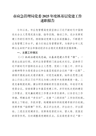 市应急管理局党委2025年度抓基层党建工作述职报告