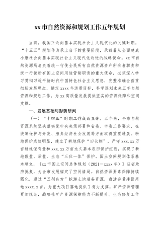 市自然资源和规划工作五年规划