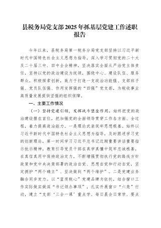 县税务局党支部2025年抓基层党建工作述职报告