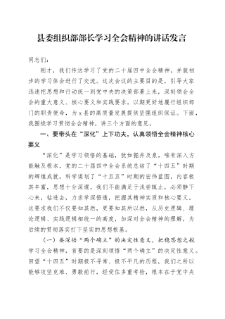 县委组织部部长学习贯彻党的二十届四中全会精神精神的讲话发言20251126