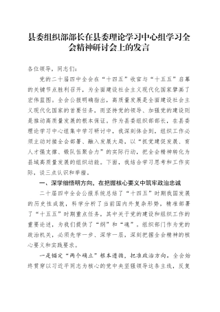 县委组织部部长在县委理论学习中心组学习贯彻党的二十届四中全会精神研讨会上的研讨发言交流讲话心得体会20251117