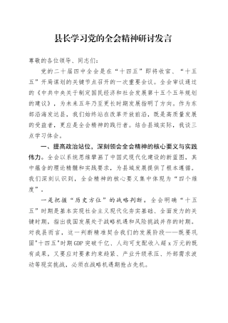 县长学习贯彻党的二十届四中全会精神研讨发言心得体会交流讲话20251126