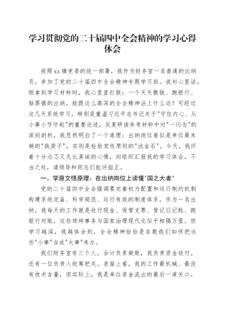 乡镇街道财务出纳学习贯彻党的二十届四中全会精神的学习心得体会20251121