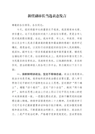 新任副市长当选表态发言