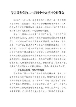 学习贯彻党的二十届四中全会精神心得体会研讨发言交流（1）20251128