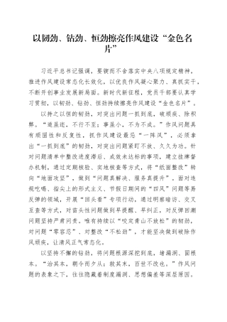 以韧劲、钻劲、恒劲擦亮作风建设“金色名片”