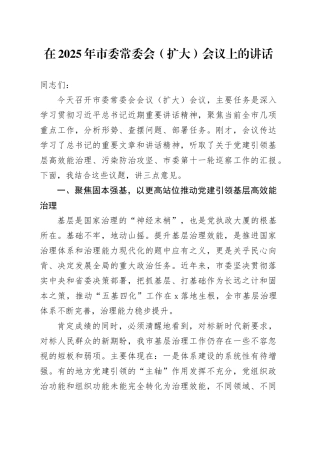在2025年市委常委会（扩大）会议上的讲话