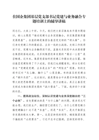 在国企集团基层党支部书记党建与业务融合专题培训上的辅导讲稿