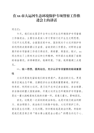 在市大运河生态环境保护专项督察工作推进会上的讲话