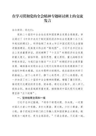 在学习贯彻党的二十届四中全会精神专题研讨班上的交流发言研讨心得体会20251126