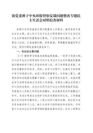 镇党委班子中央环保督察反馈问题整改专题民主生活会对照检查材料