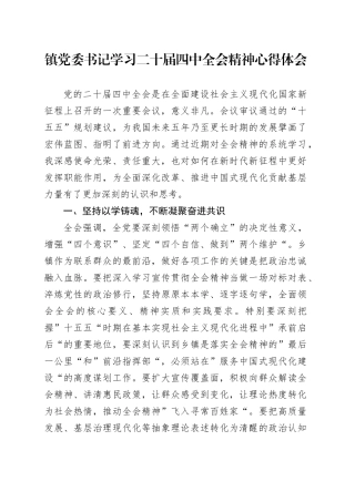 镇党委书记学习贯彻党的二十届四中全会精神心得体会研讨发言交流讲话20251117