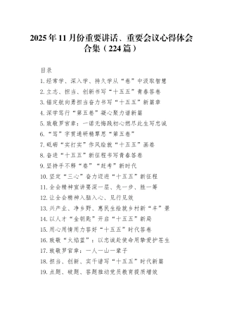 2025年11月份重要讲话、重要会议心得体会合集（224篇）