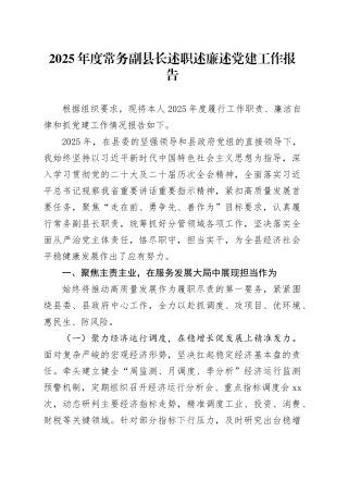 2025年度常务副县长述职述廉述党建工作报告