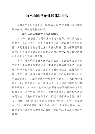 2025年度法治建设述法报告