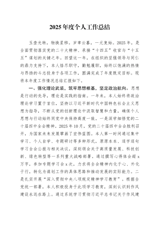2025年度个人工作总结20251217