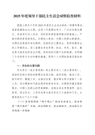 2025年度领导干部民主生活会对照检查材料