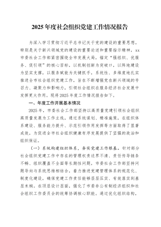 2025年度社会组织党建工作情况报告