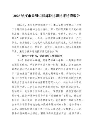 2025年度市委组织部部长述职述廉述德报告