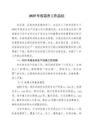 2025年度巡查工作总结