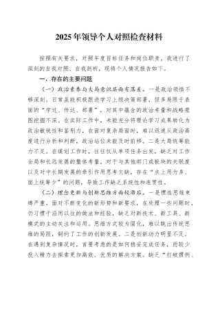 2025年领导个人对照检查材料