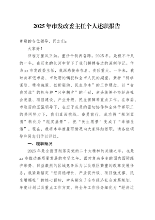 2025年市发改委主任个人述职报告