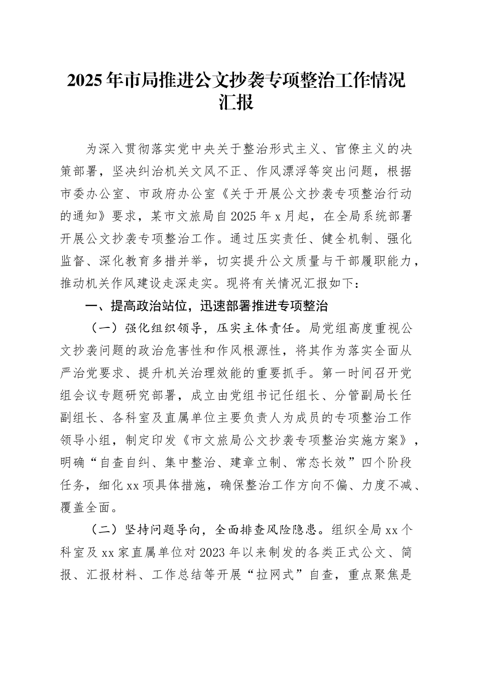 2025年市局推进公文抄袭专项整治工作情况汇报_第1页