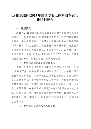 XX能源集团2025年度党委书记抓基层党建工作述职报告20251210