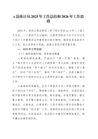 X县统计局2025年工作总结和2026年工作思路