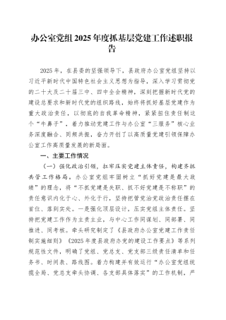 办公室党组2025年度抓基层党建工作述职报告