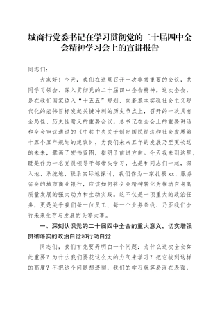 城商行党委书记在学习贯彻党的二十届四中全会精神学习会上的宣讲报告