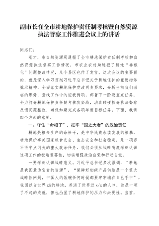 副市长在全市耕地保护责任制考核暨自然资源执法督察工作推进会议上的讲话