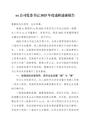公司党委书记2025年度述职述廉报告