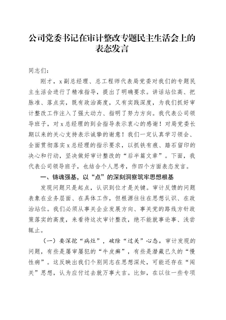 公司党委书记在审计整改专题民主生活会上的表态发言_第1页