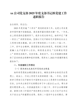 公司党支部2025年度支部书记抓党建工作述职报告