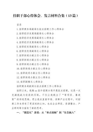 挂职干部心得体会、发言材料合集（13篇）